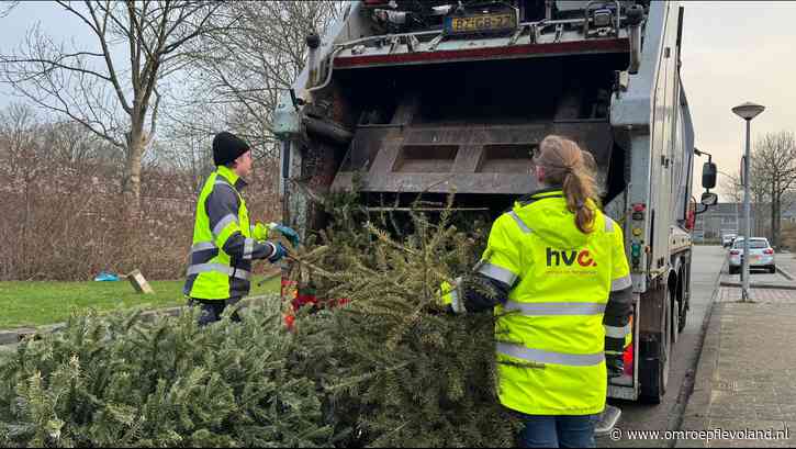 Lelystad - Wat gebeurt er met jouw afgedankte kerstboom?