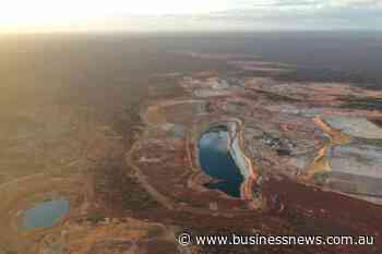 Rox appoints Hoskins as CFO