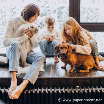 Regio Drechtsteden maakt isoleren makkelijk