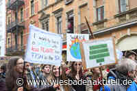 Fridays for Future Wiesbaden startet wöchentliche Klimademonstrationen
