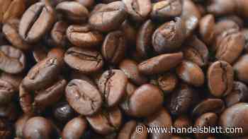 Konjunktur: Großhandelspreise steigen minimal – Kaffee und Kakao viel teurer