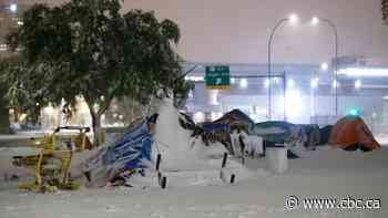 'Long overdue': Winnipeg outreach organizations weigh in on Manitoba's new homeless encampment strategy