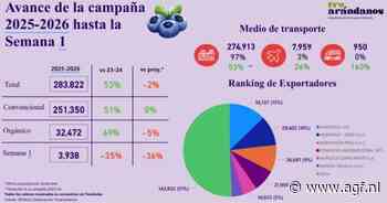 Export Peruaanse blauwe bessen +53%