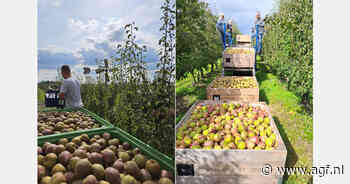 Sweet Sensation-peer ontvangt Superior Taste Award