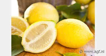 Hogere prijs Argentijnse citroenen door kleine oogst