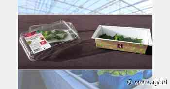 Massief kartonnen verpakkingen om 'tot 25 keer' te recyclen