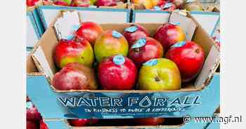 "We zijn net brandweermannen in plaats van mangovervoerders"