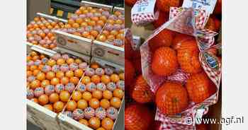 "Goede vraag naar clementines van het merk Süsse Susi"