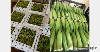 "Onze okra heeft eindelijk zijn klanten in het buitenland gevonden"