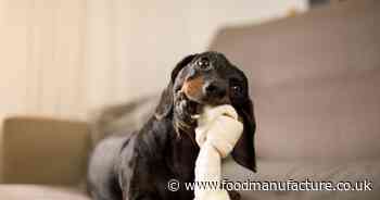 ‘Werewolf syndrome’ risk leads to dog chew warning