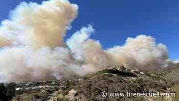 Records show LAFD did not increase staffing, engines before wildfire