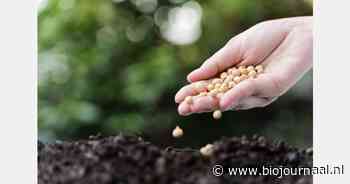 FiBL publiceert lijst met CMS-vrije zaden