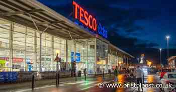 Bargain lovers can't get over price of Tesco's 'stunning' olive tree with fairy lights