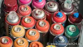 Mehrere Häuser und Grundschule mit Graffiti gesprüht: Sachschaden im fünfstelligen Bereich