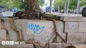 Anger as council decides to fell city centre trees