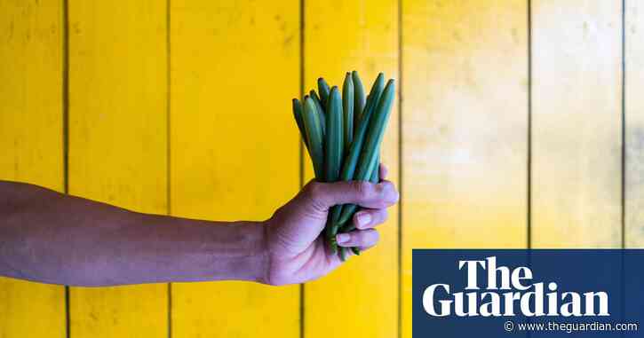 ‘What joy! What damn joy!’: vanilla boom transforms fortunes of Colombia’s farmers