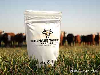 Chipotle invests in plant-based protein, methane reduction technology