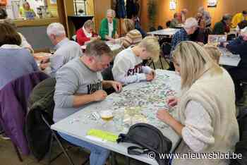 Wie kroont zich tot puzzelkampioen van zijn dorp?