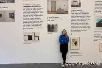 Raveelmuseum stelt werken tentoon die nog maar één keer aan publiek zijn getoond