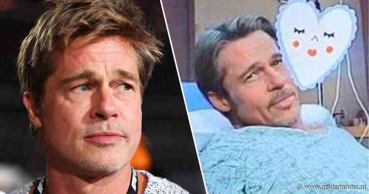 Brad Pitt waarschuwt fans voor oplichters na opmerkelijk verhaal van Franse Anne: ‘Vreselijk’