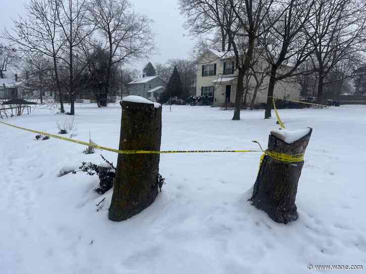 Fort Wayne man accused of murder claims self-defense due to victim's 'tone'