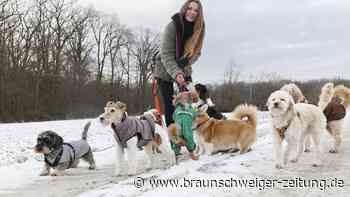 Gassigehen als Beruf: Braunschweigerin erfüllt sich Traum