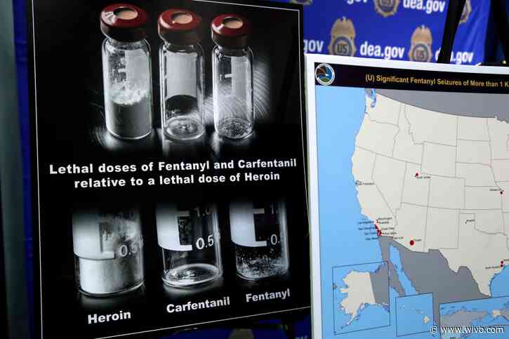 Carfentanil detected in Erie County drug supply