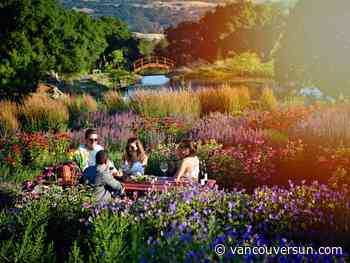 Craving a grape escape? Try Napa and Sonoma for a wine weekend getaway