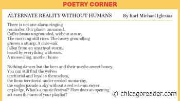 ALTERNATE REALITY WITHOUT HUMANS