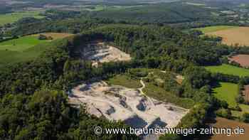 Streit um Natur im Harz: Umweltschützer klagen gegen Gipsabbau