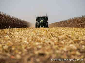 'Missed opportunity': Grain Growers of Canada pans approval of Bunge's Viterra acquisition