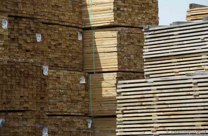 Forestry ‘transition’ sets off review of BC Timber Sales, province says