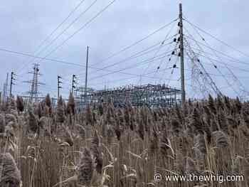 Kingston pauses fleet electrification as power supply issues loom