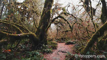 Techniques for Captivating Landscape Photos with Depth