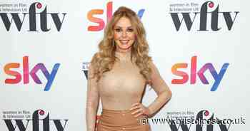 Carol Vorderman slammed over comment about Nigel Farage's 'nine jobs'