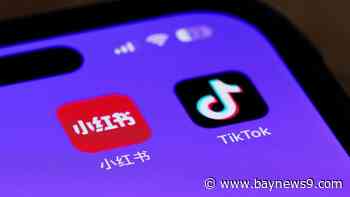 A possible TikTok ban is just days away. A list of other apps available.