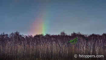 Landscape Photography With a Purpose: 12 Nature Phenomena to Capture in 2025
