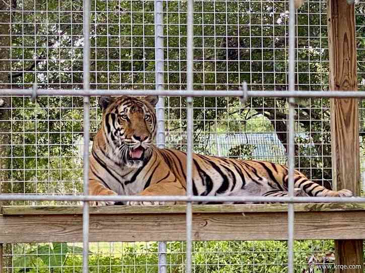 Florida property from 'Tiger King' may soon become housing