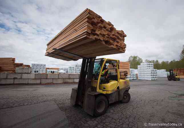 B.C. forests minister says Trump tariffs could be ‘devastating’ to sector