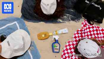 Australians urged to know difference between therapeutic and cosmetic sunscreens