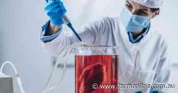 Lab-grown cell meat is less nutritious: Health authorities spell out why