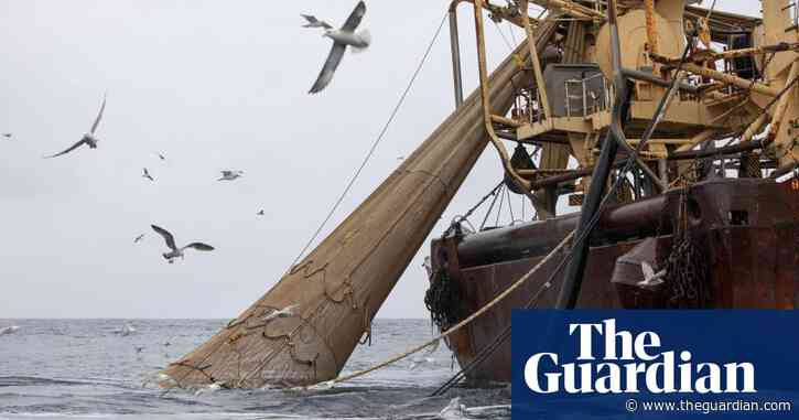 Window to stop decline of England’s nature closing fast, watchdog says