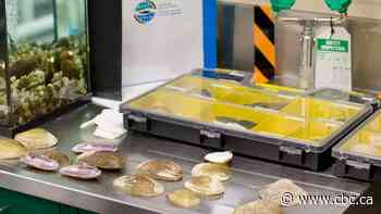 Feds announce $700K in funding to help improve Hamilton and Burlington water quality