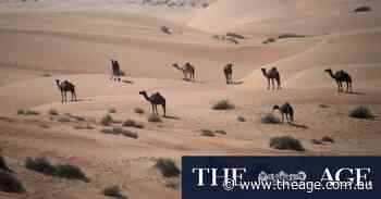 World of photos, January 17, 2025