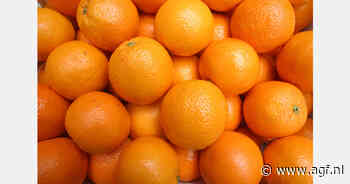 Miura Partners bereidt verkoop van Citri&Co voor