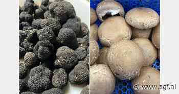 "Ik heb nog nooit zo'n grote vraag naar truffels meegemaakt"