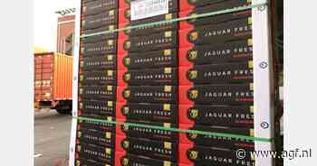 "India kan een belangrijke markt worden voor Zuid-Afrikaans citrus en hardfruit"