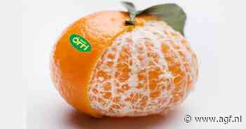 Israëlische citrustelers richten zich op export en kwaliteit van Orri Jaffa ondanks oorlog