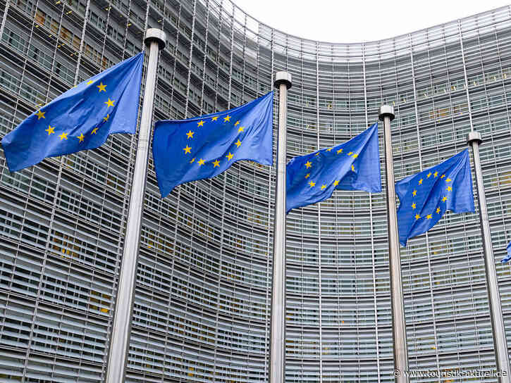 Zubringer-Streit: EU springt Condor zur Seite