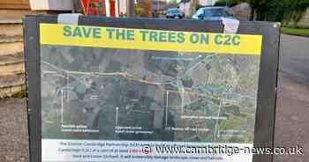 Protection order granted for trees threatened by Cambourne to Cambridge busway plans
